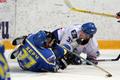 ������ - ����� (�). ����� 2005-06. ���� �� ����������� thumbs/IMG_0600.jpg