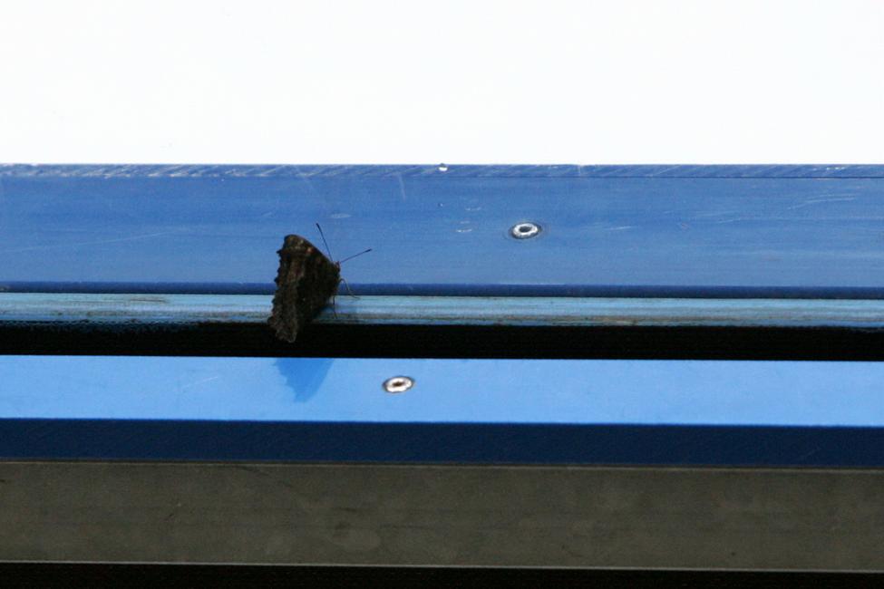 ������-98 - �����-98. ����� 2012-13. ���������� 68 �� 72. ���� images/IZ3F1830.jpg