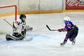 ������-04 - ��������-04. ����� 2013-14. ���� �� ����������� thumbs/HSHT4306.jpg