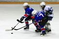 ������-03 - �������-03. ����� 2013-14. ���� �� ����������� thumbs/HSHT5503.jpg