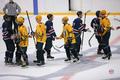 ���. ������� - ������ �������. ����� 2017-18. ���� �� ����������� thumbs/1718225_66.jpg