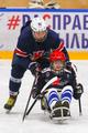 ���������� ������ ���� � ��� ��. ��� ����� 1819_20190414_mhl_sledge_hockey/thumbs/SLHL_0009.jpg