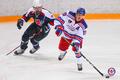 ���. ������ ������� - AJHL (������). ����� 2019-20. ���� �� ����������� thumbs/1920396_007.jpg