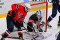 ���. �������� � ���������� ��. ����� 2020-21. ���� �� ����������� thumbs/MHLKC_164.jpg