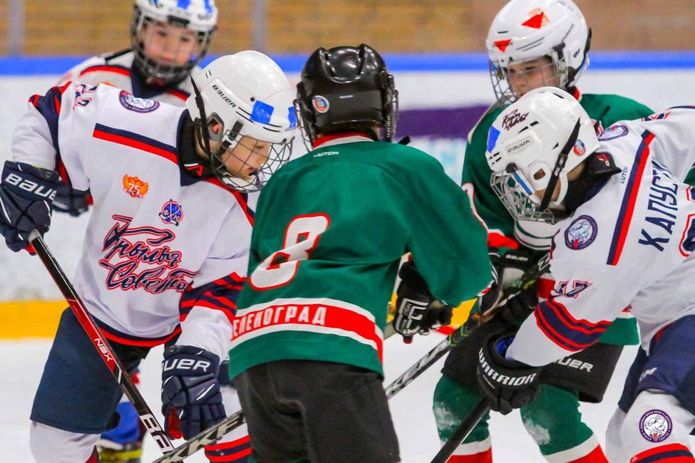 ����. ������ �������-2013. ���� V. ����� 2021-22. ���������� 34 �� 120. ���� images/KFHM_5034.jpg